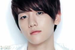 边伯贤明星小说,星光璀璨的偶像之路