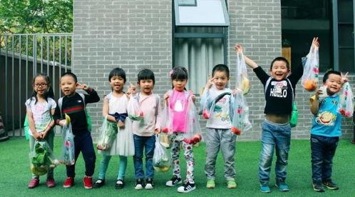 明星幼稚园,萌娃星范儿，快乐成长记