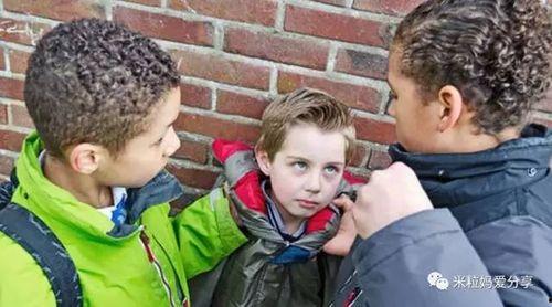 霸凌小男孩爆料视频,小男孩勇敢揭露惊人真相