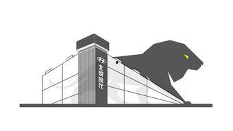 沧州头条北京现代事件,维权风波背后的真相与反思