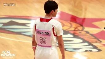 偶像明星运动会作文,青春热血的竞技盛宴