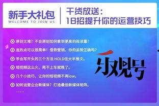 经营头条号感悟怎么写,探索内容营销之道