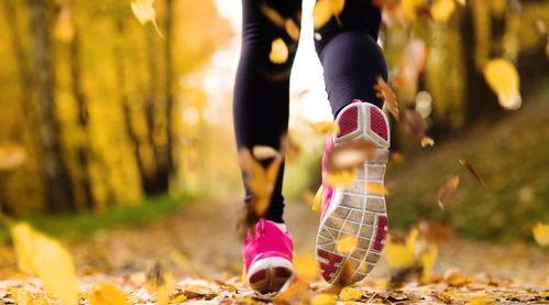 跑步训练吃瓜视频,揭秘健身达人的快乐源泉