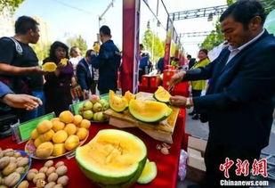 全球新闻吃瓜,吃瓜群众围观世界风云