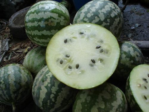 怎么很多人吃瓜