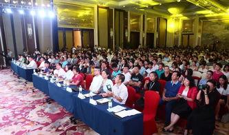 海南今日头条沈建华